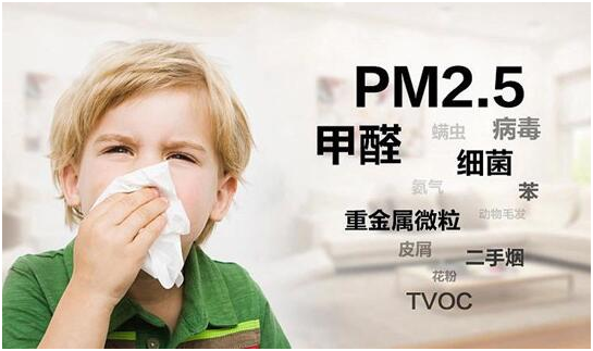 綠樹漆|“凈味呼吸”系列漆，開啟家居新“凈”界